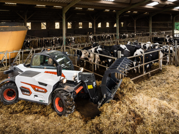 Teleskoplader im Stall - Landwirtschaft