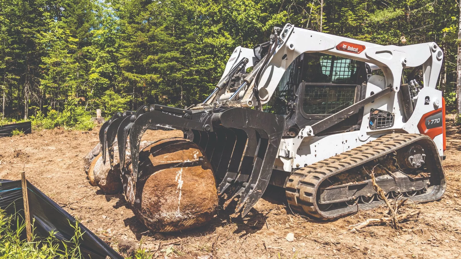 Raupenlader T770 in einer Forstanwendung