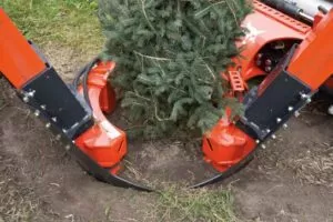 Bobcat Baumspaten